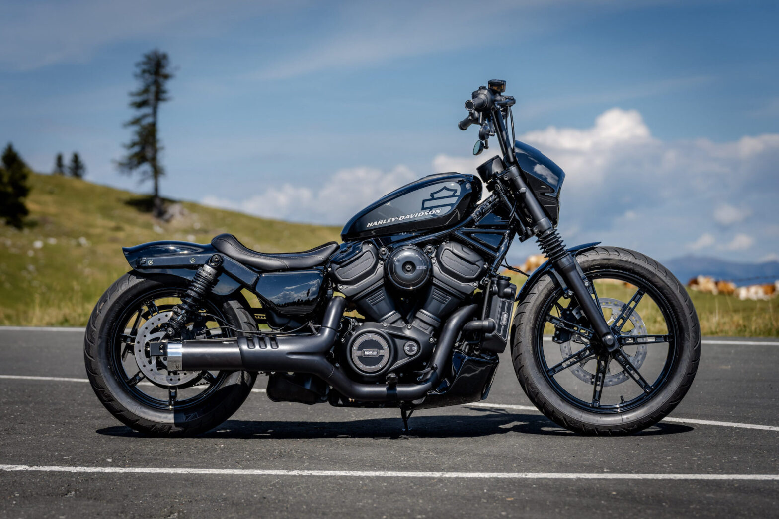 Harley Davidson VRSC 2013-2023 Featured Image