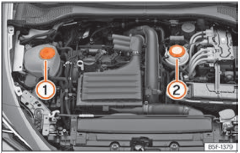 2022-2023 Seat Leon Engine Oil and Fluids 06