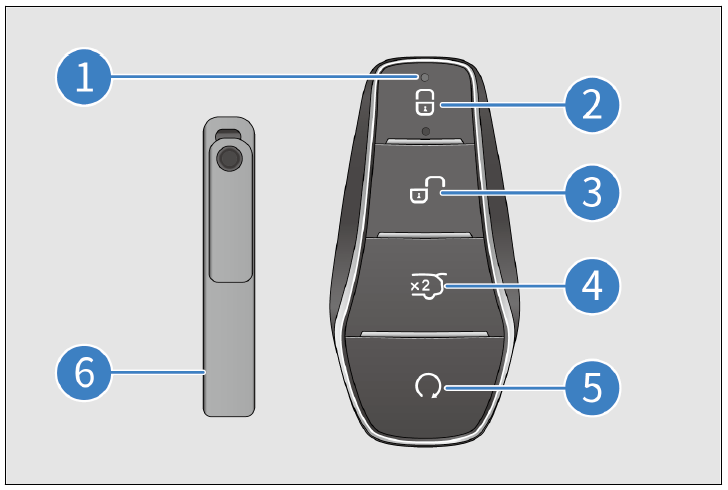 BYD TANG Keys and Smart Key - fig 1