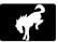 2025 FORD Expedition Warning Lights and Indicators-fig 12